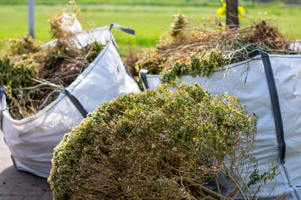 Best Attic Cleanout Services  in Buna, TX